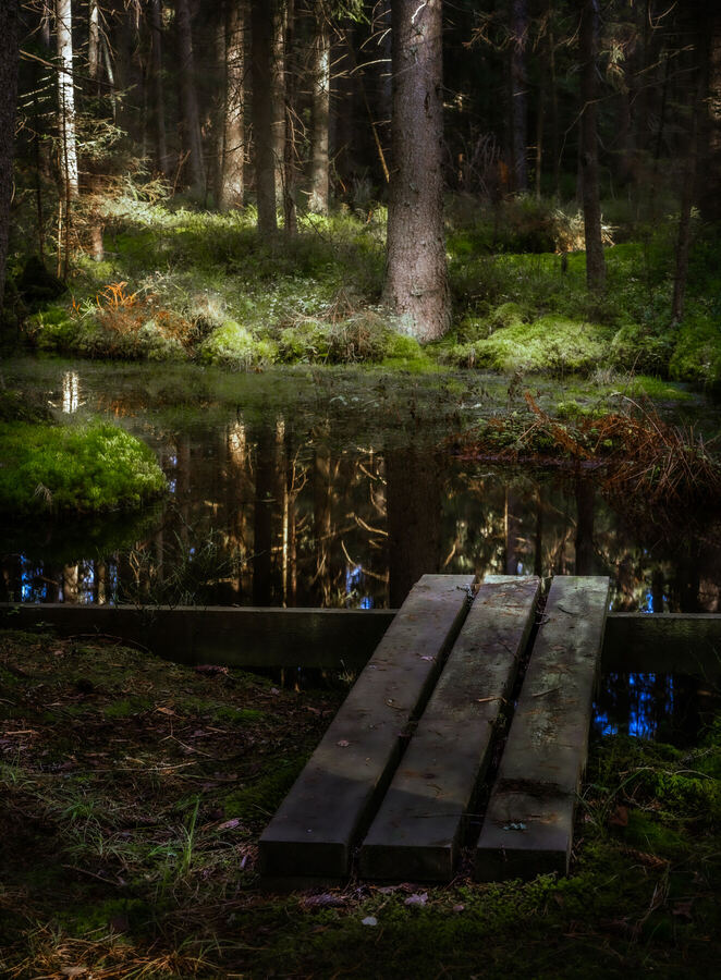 Nature photograph by Billy Lindqvist — DSC02000