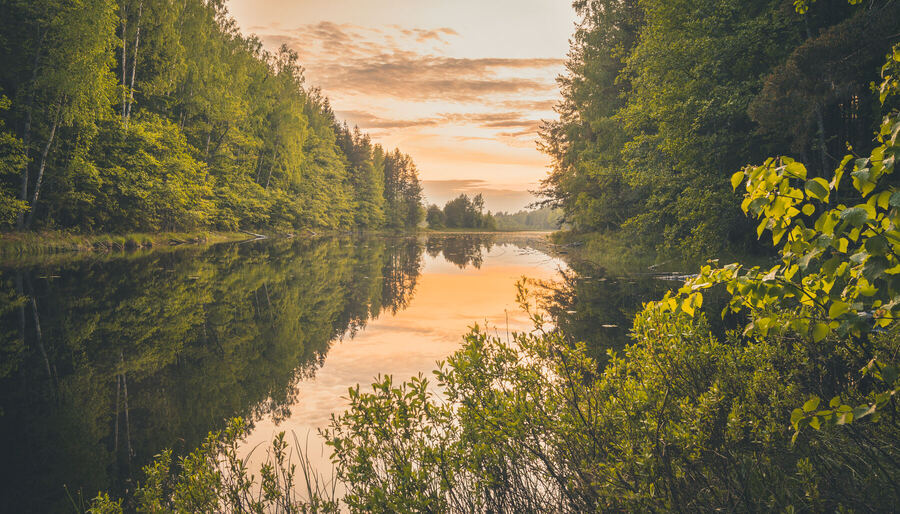 Nature photograph by Billy Lindqvist — DSC06410